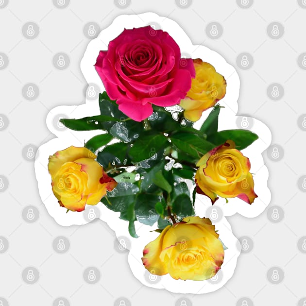 Bouquet of flowers / Swiss Artwork Photography Sticker by RaphaelWolf